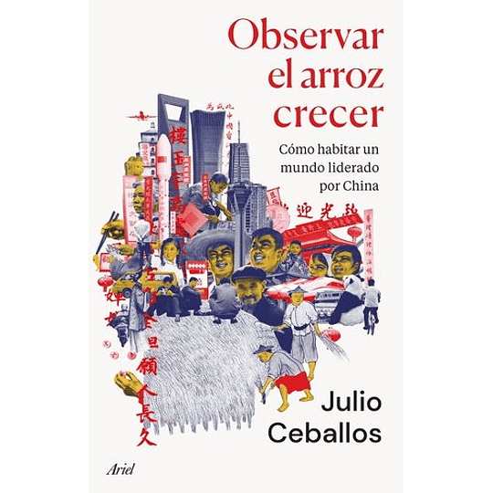 Observar El Arroz Crecer