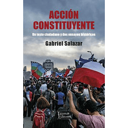 Accion Constituyente