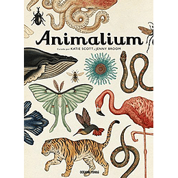 Animalium