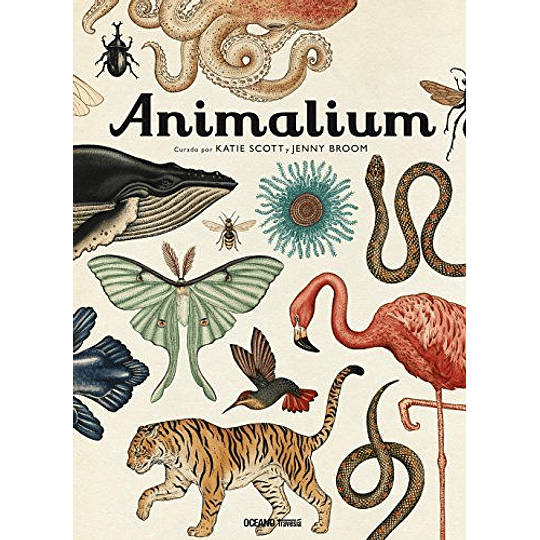 Animalium