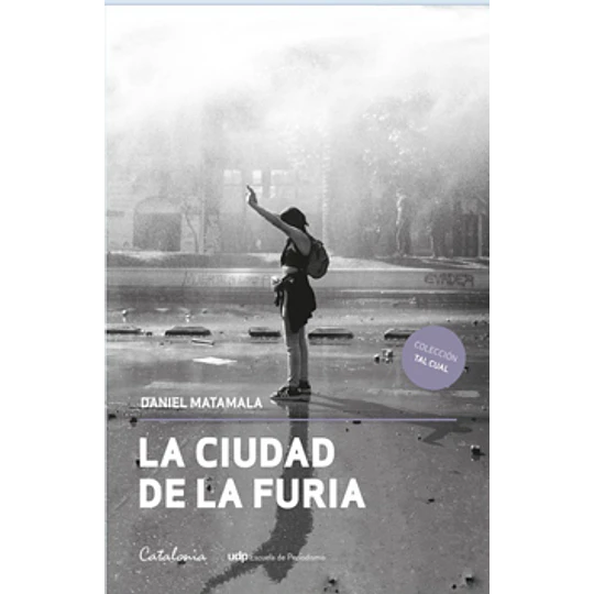 La Ciudad De La Furia