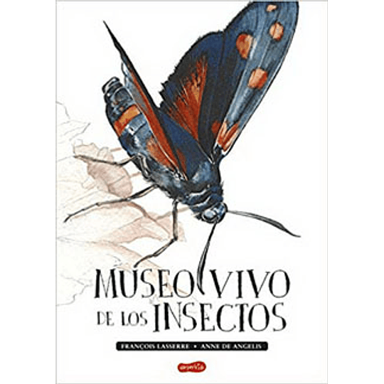 Museo Vivo De Los Insectos
