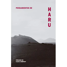 Pensamientos De Haru