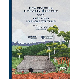 Pequeña Historia Mapuche, Un
