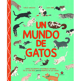 Un Mundo De Gatos