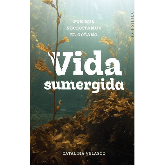 Vida Sumergida. Por Que Necesitamos El Oceano
