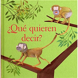 ¿Que Quieren Decir?