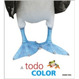 A Todo Color