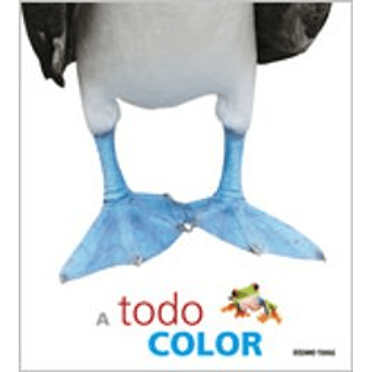 A Todo Color