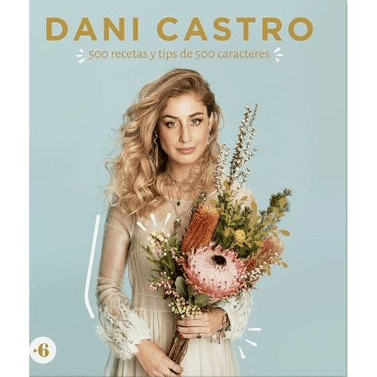 Dani Castro 500 Recetas Y Tips De 500 Caracteres
