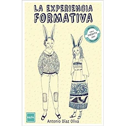 La Experiencia Formativa