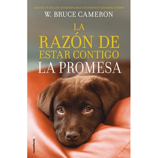 La Razon De Estar Contigo La Promesa