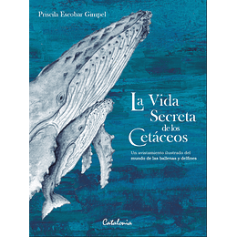 La Vida Secreta De Los Cetaceos