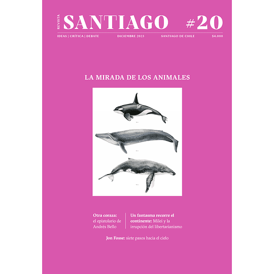Revista Santiago 17