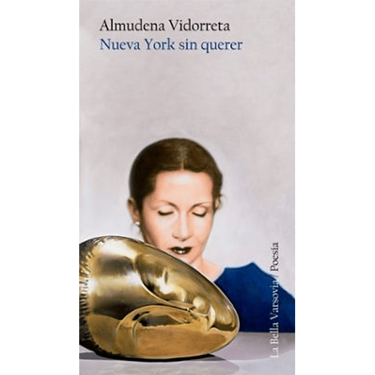 Nueva York Sin Querer