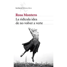 La Ridicula Idea De No Volver A Verte