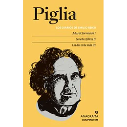 Los Diarios De Emilio Renzi