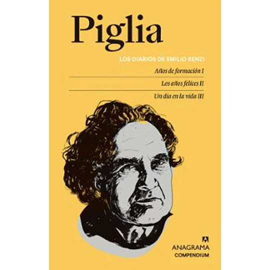 Los Diarios De Emilio Renzi