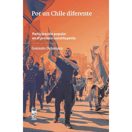 Por Un Chile Diferente  Participacion Popular En El Proceso Constituyente