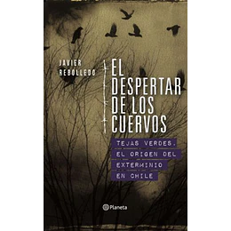 El Despertar De Los Cuervos