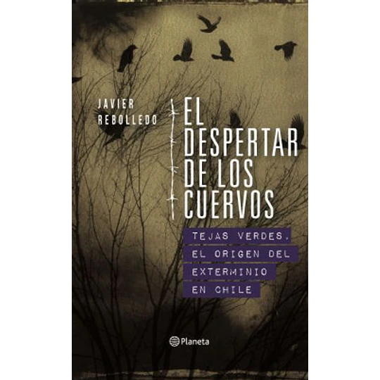 El Despertar De Los Cuervos