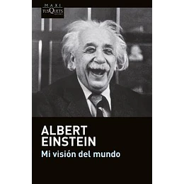 Mi Vision Del Mundo 