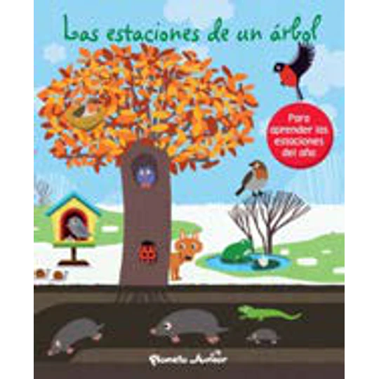 Las Estaciones De Un Arbol