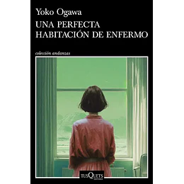 Una Perfecta Habitacion De Enfermo