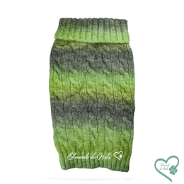 Sweater Arcoiris Verde
