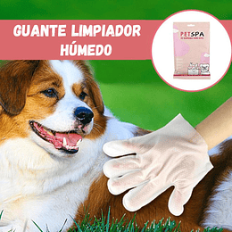 Guante limpiador Húmedo