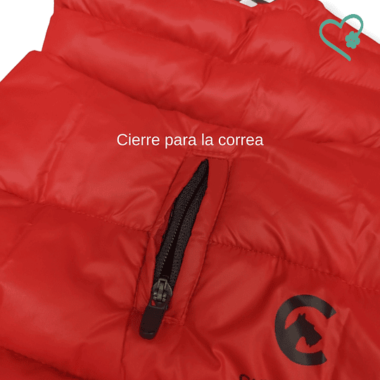 Parkas Invierno 