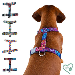 Arnés tipo H diseños