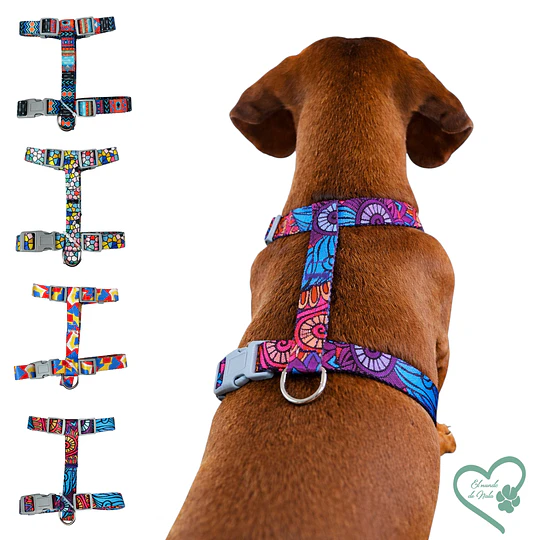 Arnés tipo H diseños