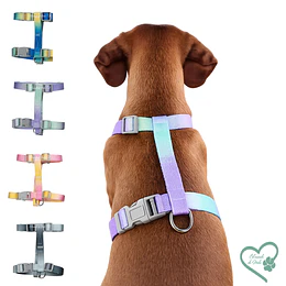 Arnés tipo H colores