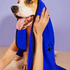 Toallas Azul y Lila