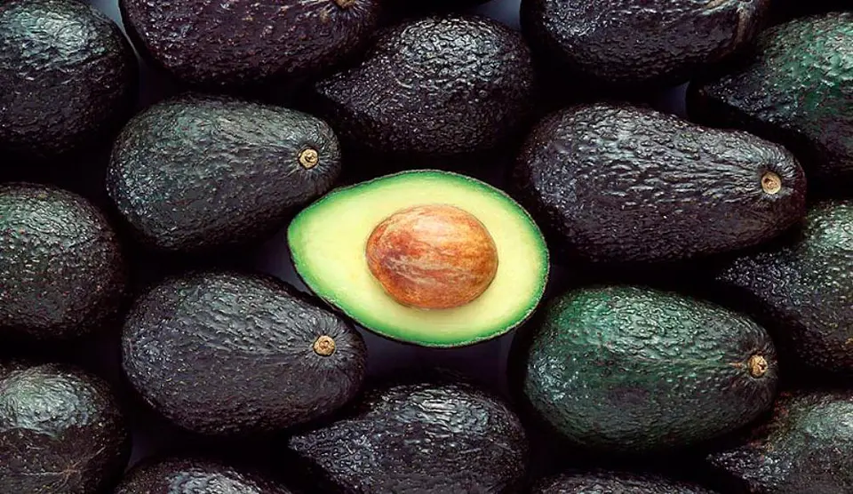 Palta Chilena por Kilo 1