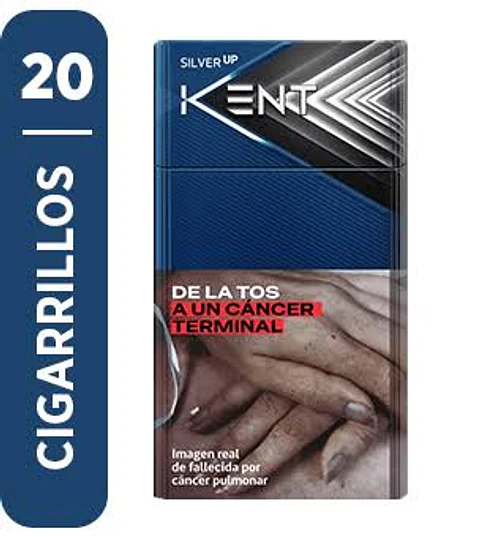 Cigarrillos Kent Silver 4 – 20 Unidades
