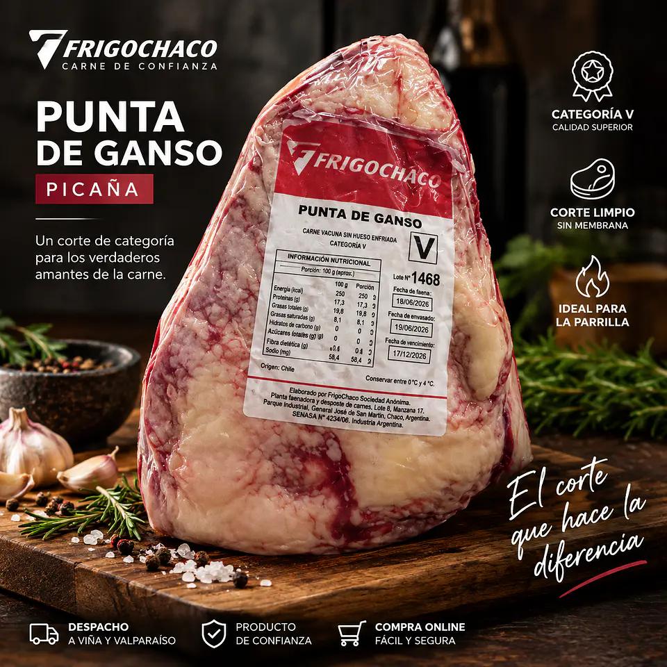 PUNTA DE GANSO / PICAÑA AL VACÍO 1