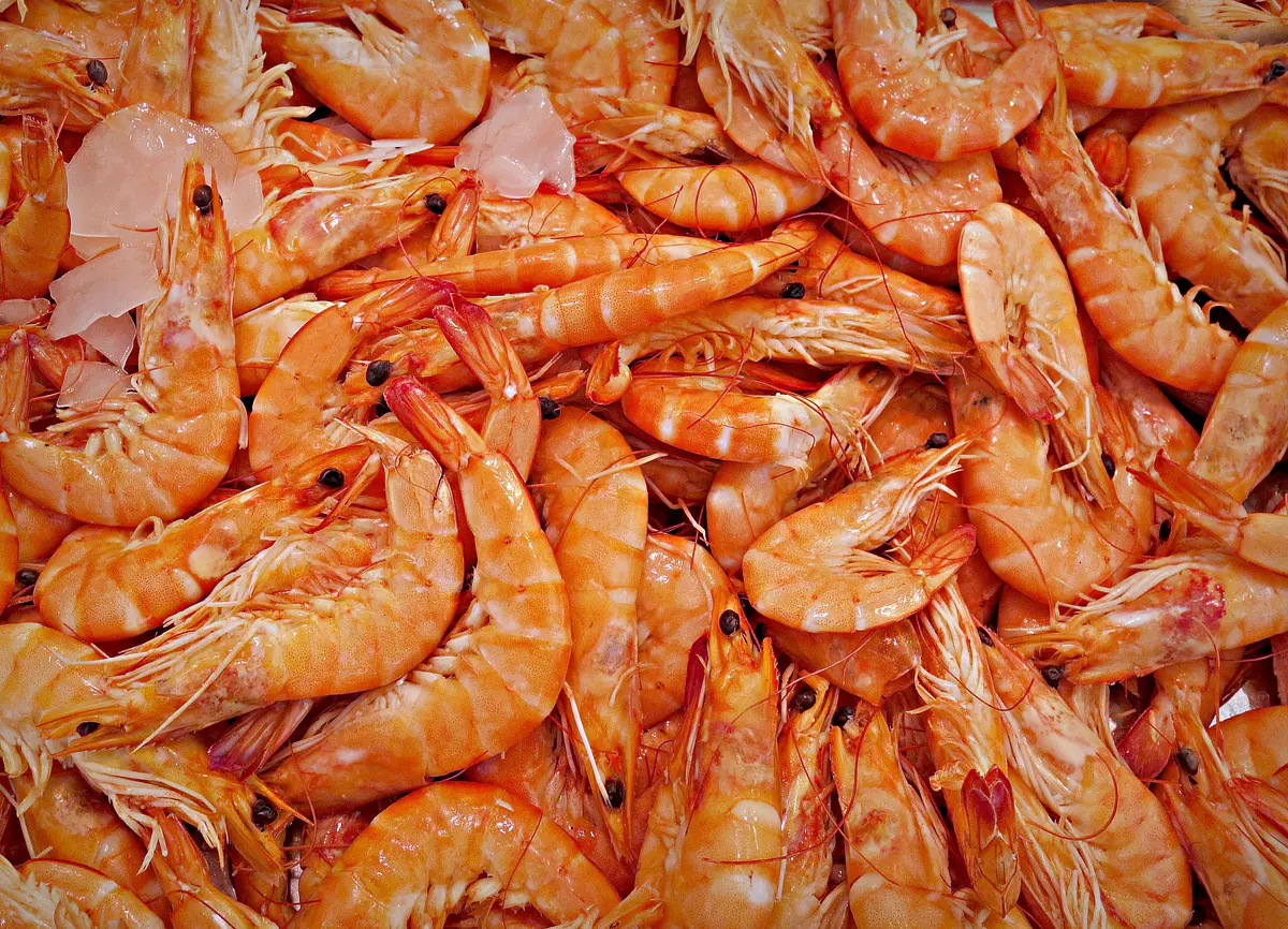 Mariscos