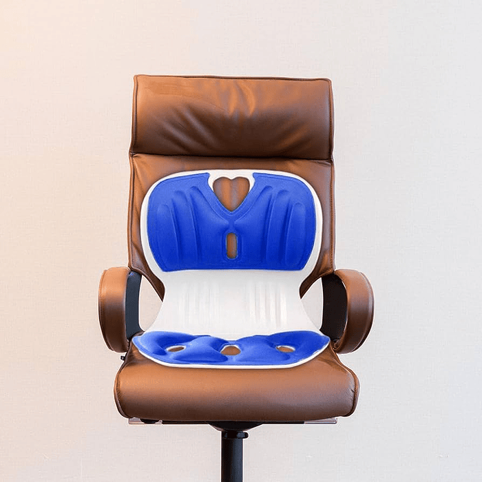 Corrector de Postura para Respaldo  2