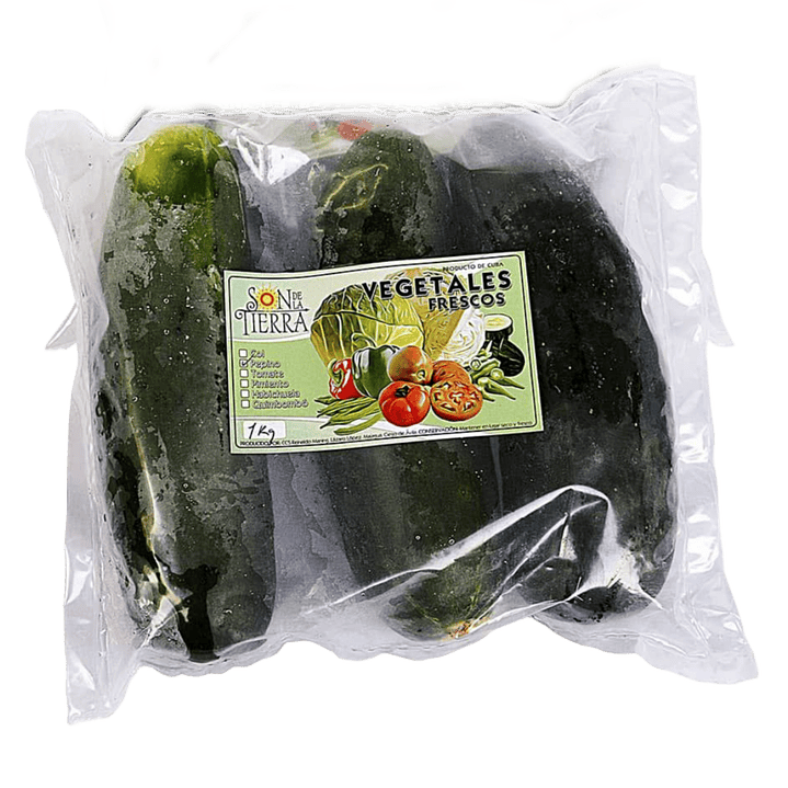 Pepino fresco 1