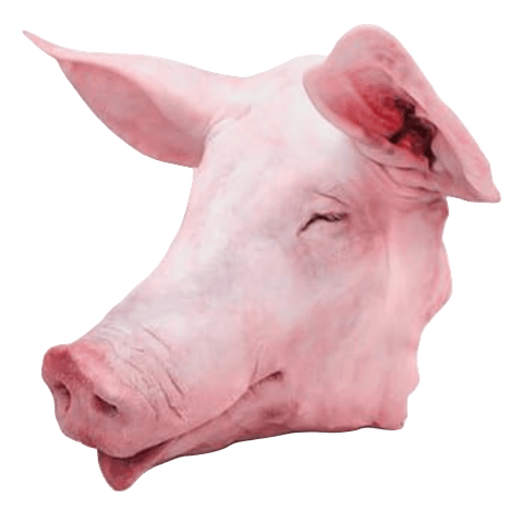 Cabeza de Cerdo 4.5 a 5.5 kg