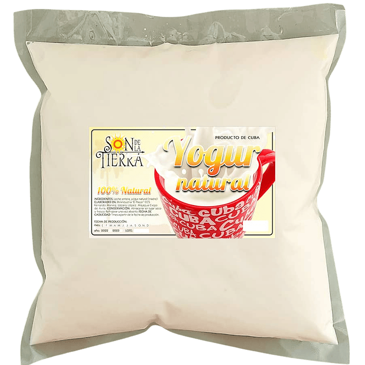 Yogurt natural 1