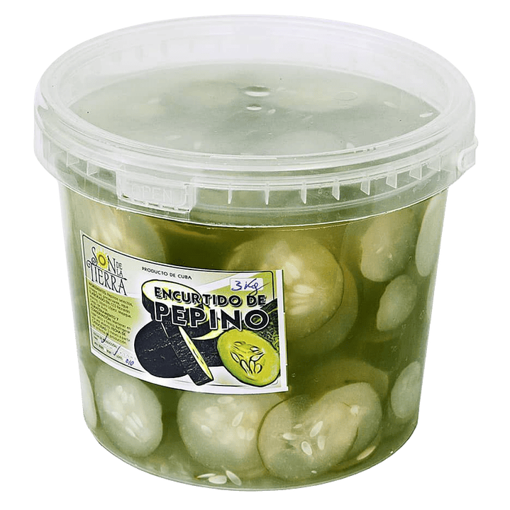 Encurtido de pepino 2