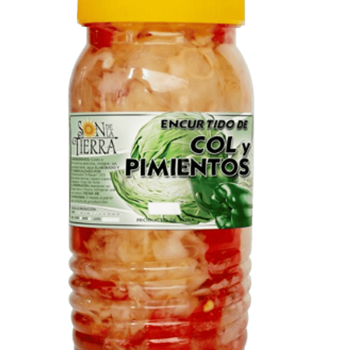 Encurtido de col y pimiento 1