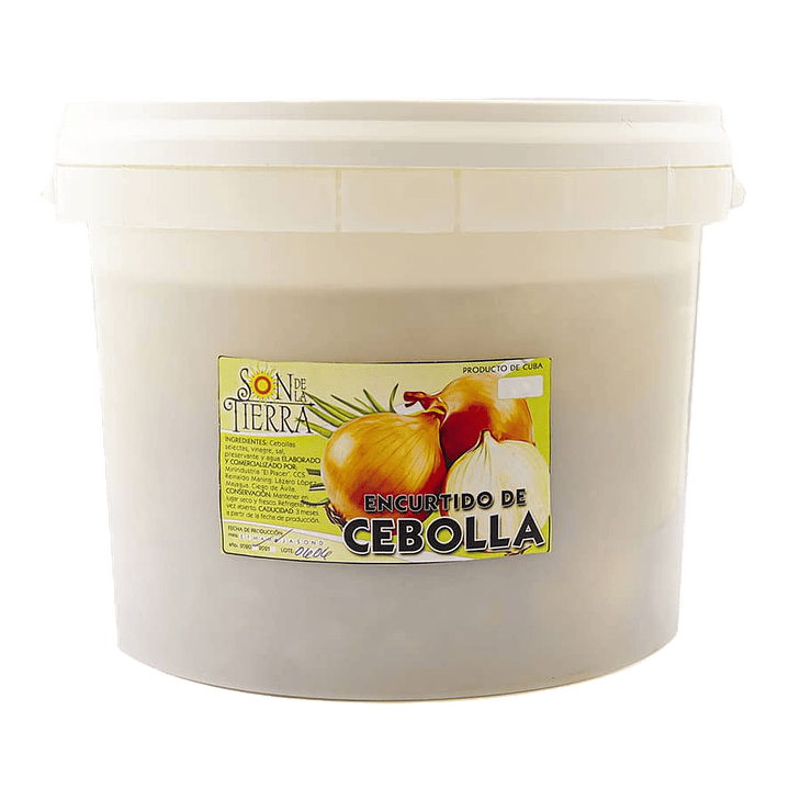 Encurtido de cebolla 1