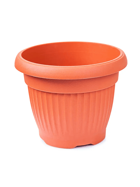 Maceta de demostración