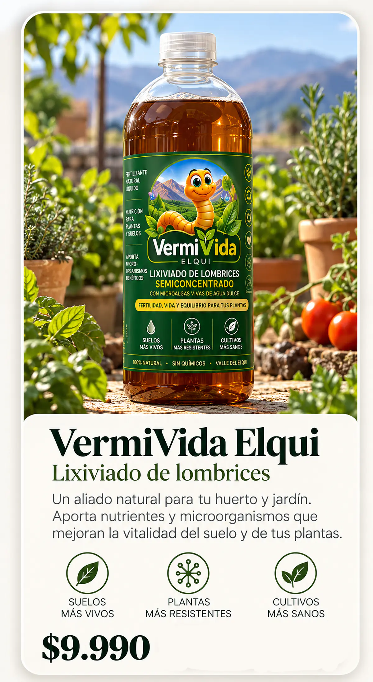 Título del banner