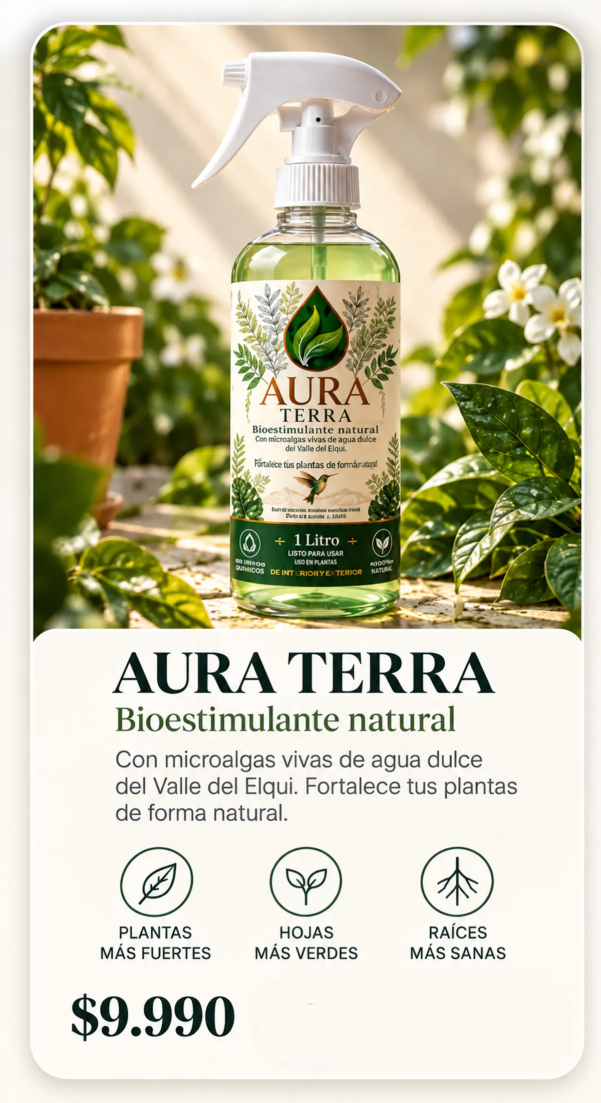 Título del banner