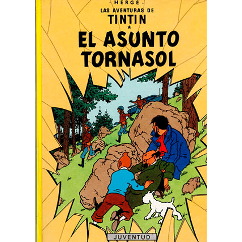 TINTIN: EL ASUNTO TORNASOL